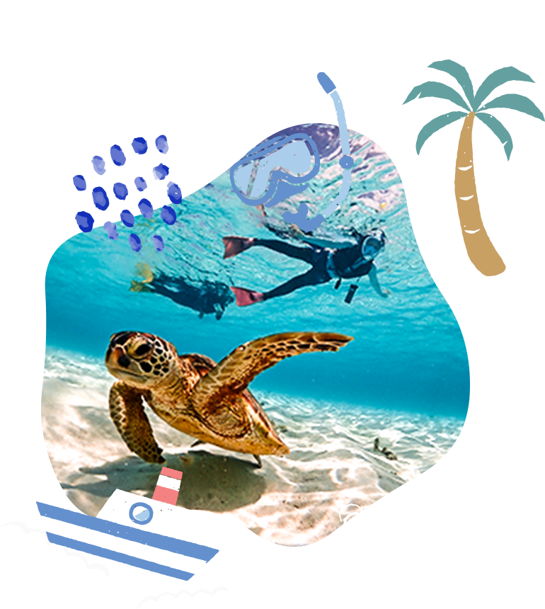 SUNFLAT SNORKELING 画像01