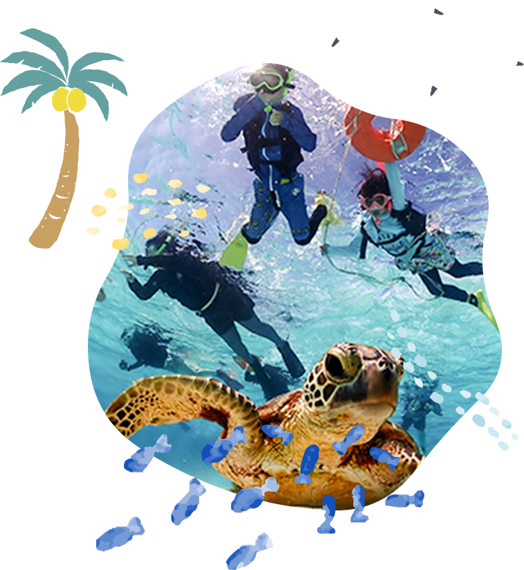 SUNFLAT SNORKELING 画像02