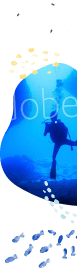 SUNFLAT SNORKELING 画像06