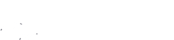 サンフラットジェットスキー ロゴ